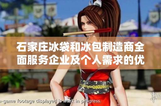 石家庄冰袋和冰包制造商全面服务企业及个人需求的优质选择