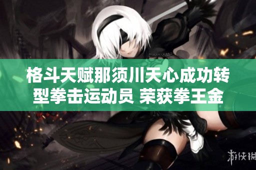 格斗天赋那须川天心成功转型拳击运动员 荣获拳王金腰带成就辉煌新篇章