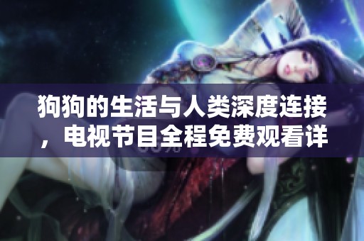 狗狗的生活与人类深度连接，电视节目全程免费观看详解