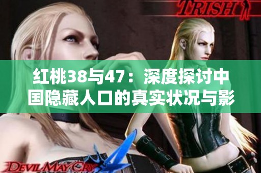 红桃38与47：深度探讨中国隐藏人口的真实状况与影响