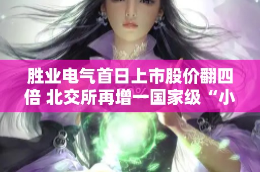 胜业电气首日上市股价翻四倍 北交所再增一国家级“小巨人”企业