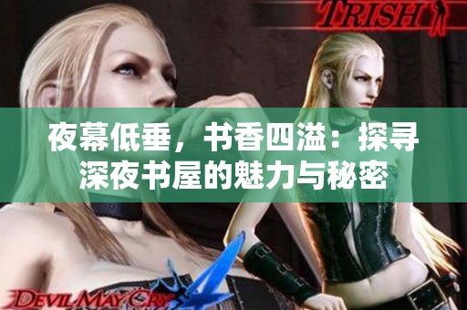 夜幕低垂，书香四溢：探寻深夜书屋的魅力与秘密