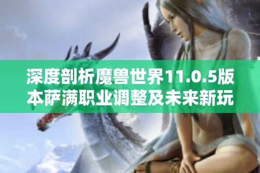 深度剖析魔兽世界11.0.5版本萨满职业调整及未来新玩法的精彩展望