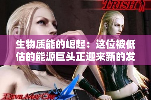 生物质能的崛起：这位被低估的能源巨头正迎来新的发展机遇