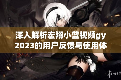 深入解析宏翔小蓝视频gy2023的用户反馈与使用体验