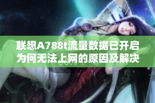 联想A788t流量数据已开启为何无法上网的原因及解决方法探讨