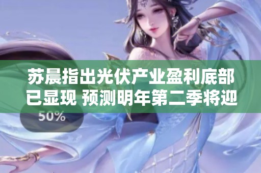 苏晨指出光伏产业盈利底部已显现 预测明年第二季将迎来向上反转的机会