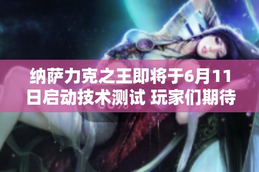 纳萨力克之王即将于6月11日启动技术测试 玩家们期待正式版尽早上线
