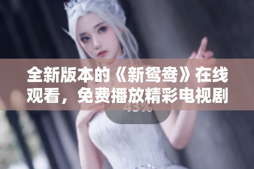 全新版本的《新鸳鸯》在线观看，免费播放精彩电视剧大集合