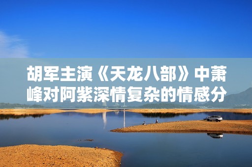 胡军主演《天龙八部》中萧峰对阿紫深情复杂的情感分析与解读