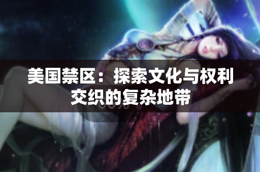美国禁区：探索文化与权利交织的复杂地带