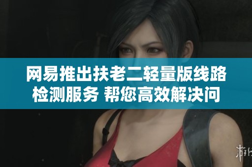 网易推出扶老二轻量版线路检测服务 帮您高效解决问题享受无忧体验