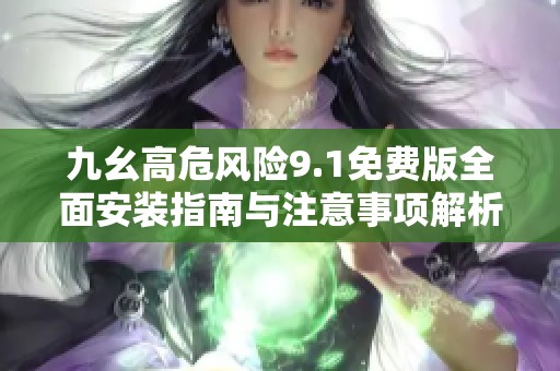 九幺高危风险9.1免费版全面安装指南与注意事项解析