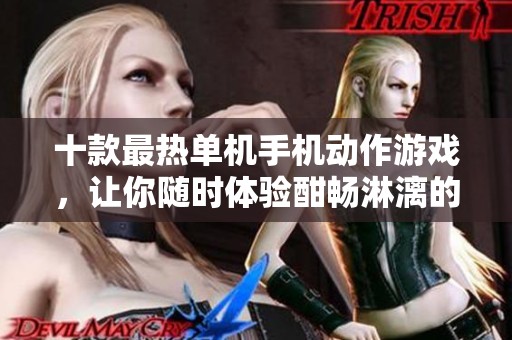 十款最热单机手机动作游戏，让你随时体验酣畅淋漓的战斗激情！