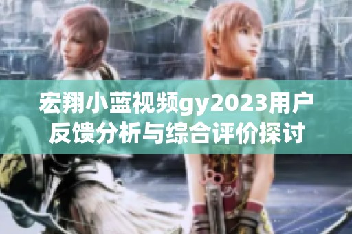 宏翔小蓝视频gy2023用户反馈分析与综合评价探讨