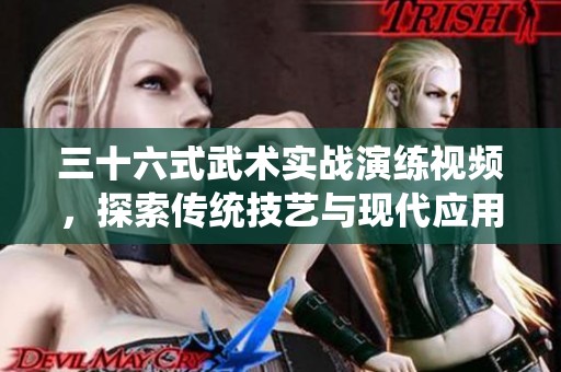三十六式武术实战演练视频，探索传统技艺与现代应用
