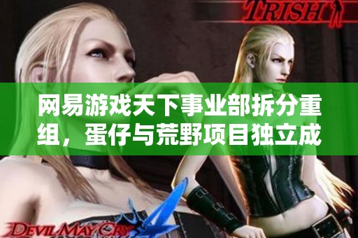 网易游戏天下事业部拆分重组，蛋仔与荒野项目独立成新事业部