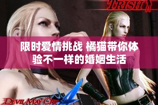 限时爱情挑战 橘猫带你体验不一样的婚姻生活