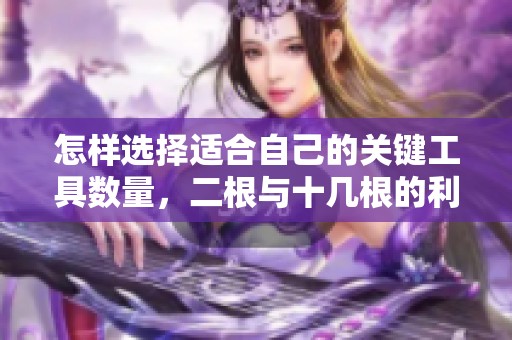 怎样选择适合自己的关键工具数量，二根与十几根的利弊分析
