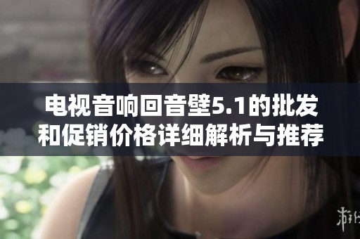 电视音响回音壁5.1的批发和促销价格详细解析与推荐