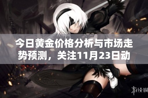 今日黄金价格分析与市场走势预测，关注11月23日动向