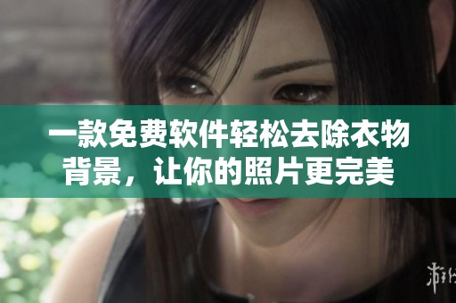 一款免费软件轻松去除衣物背景，让你的照片更完美