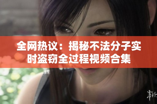 全网热议：揭秘不法分子实时盗窃全过程视频合集
