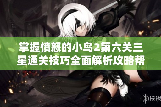 掌握愤怒的小鸟2第六关三星通关技巧全面解析攻略帮助你轻松通关