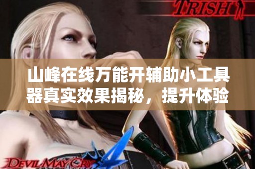 山峰在线万能开辅助小工具器真实效果揭秘，提升体验的新选择