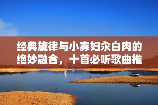 经典旋律与小寡妇汆白肉的绝妙融合，十首必听歌曲推荐