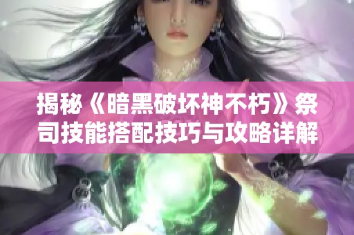 揭秘《暗黑破坏神不朽》祭司技能搭配技巧与攻略详解