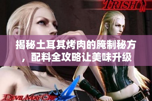 揭秘土耳其烤肉的腌制秘方，配料全攻略让美味升级