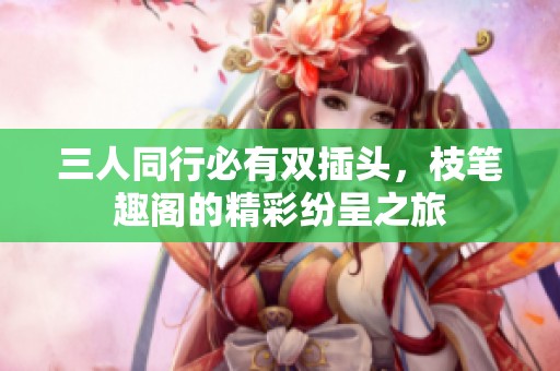 三人同行必有双插头，枝笔趣阁的精彩纷呈之旅