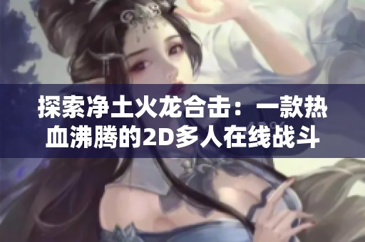 探索净土火龙合击：一款热血沸腾的2D多人在线战斗游戏