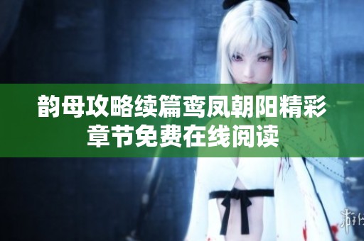 韵母攻略续篇鸾凤朝阳精彩章节免费在线阅读