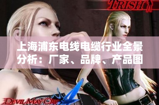 上海浦东电线电缆行业全景分析：厂家、品牌、产品图片等信息汇总