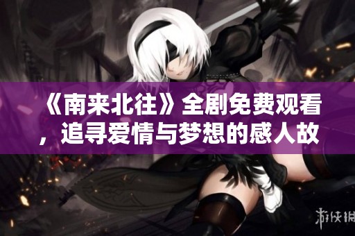 《南来北往》全剧免费观看，追寻爱情与梦想的感人故事