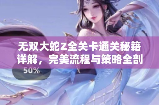 无双大蛇Z全关卡通关秘籍详解，完美流程与策略全剖析