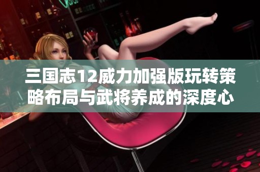 三国志12威力加强版玩转策略布局与武将养成的深度心得分享