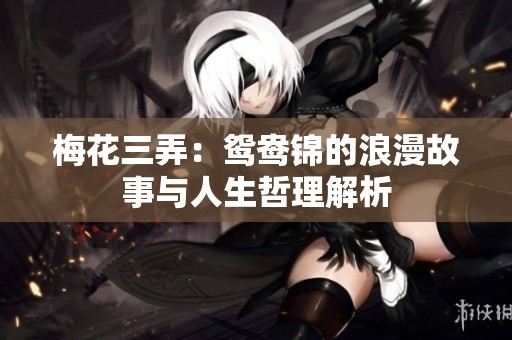 梅花三弄：鸳鸯锦的浪漫故事与人生哲理解析