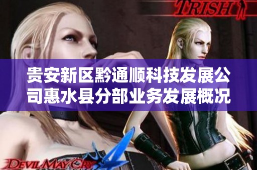 贵安新区黔通顺科技发展公司惠水县分部业务发展概况分析
