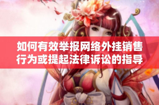 如何有效举报网络外挂销售行为或提起法律诉讼的指导