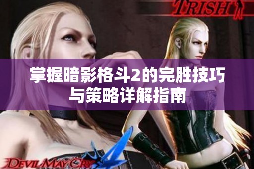 掌握暗影格斗2的完胜技巧与策略详解指南