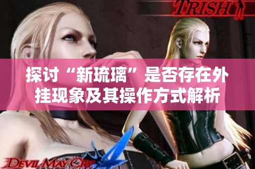 探讨“新琉璃”是否存在外挂现象及其操作方式解析