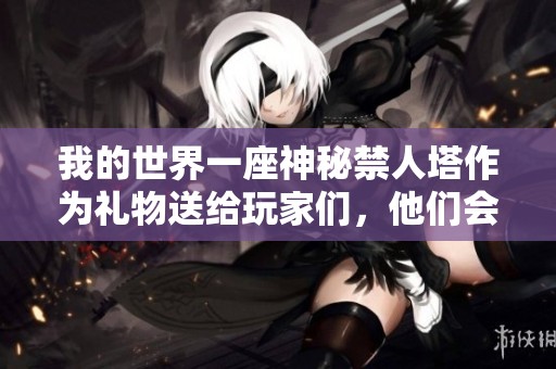 我的世界一座神秘禁人塔作为礼物送给玩家们，他们会作何反应？