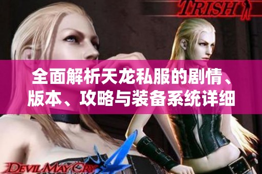 全面解析天龙私服的剧情、版本、攻略与装备系统详细介绍
