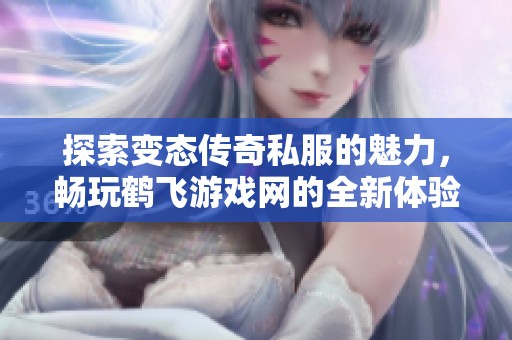 探索变态传奇私服的魅力，畅玩鹤飞游戏网的全新体验
