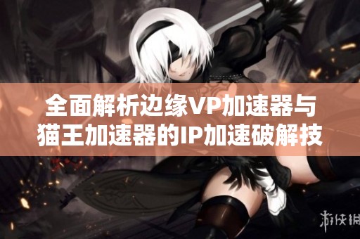 全面解析边缘VP加速器与猫王加速器的IP加速破解技巧与应用