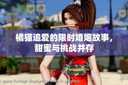 橘猫追爱的限时婚姻故事，甜蜜与挑战并存
