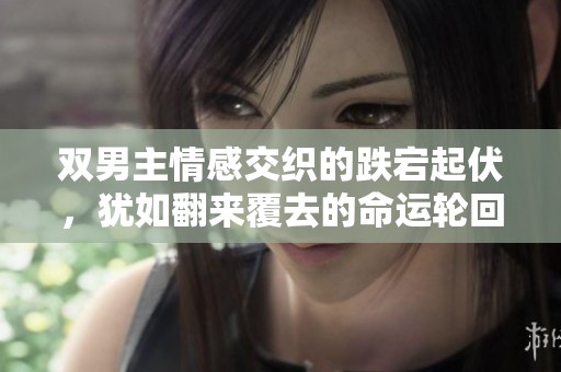双男主情感交织的跌宕起伏，犹如翻来覆去的命运轮回